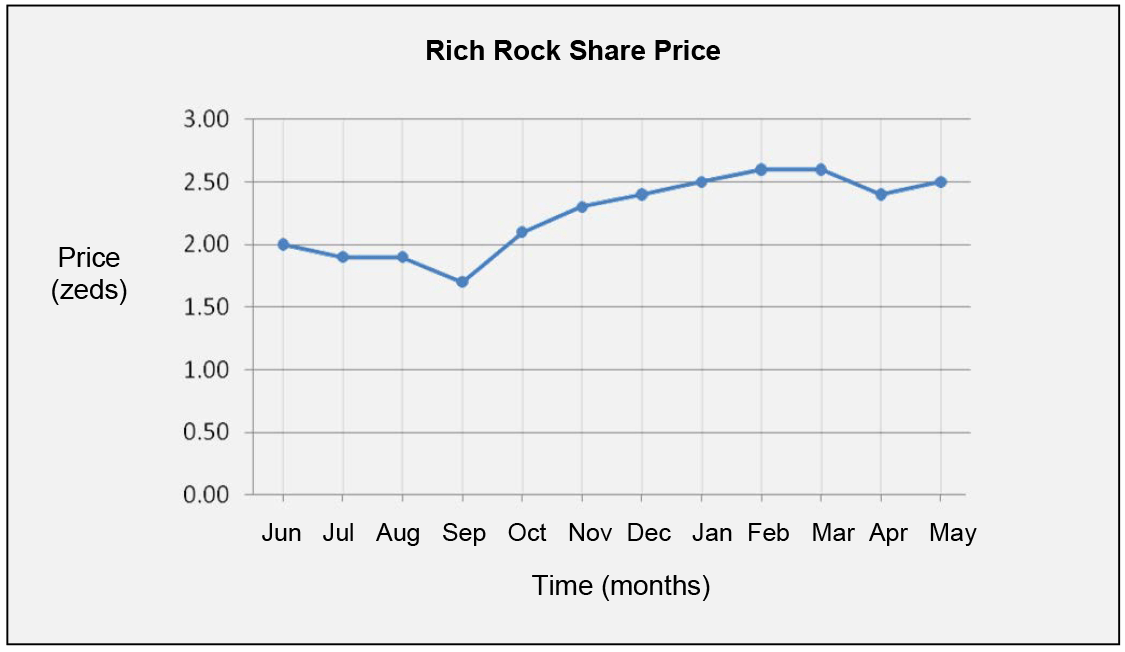 This graph shows the price of one Rich Rock share over a 12-month period.