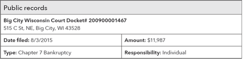 Form snapshot of "Public records"